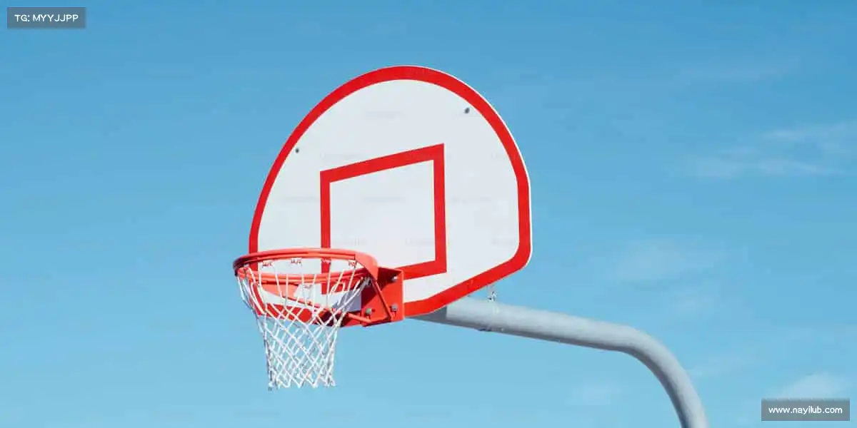 行业领先的理由